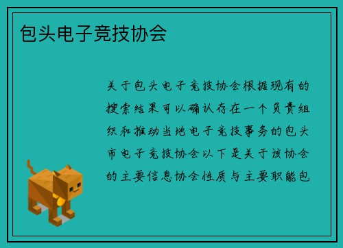 包头电子竞技协会